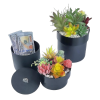 🌿🔒 Introducing the Ultimate Pot Plant Stash – Secure Your Secrets in Style! 🔒🌿