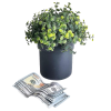 🌿🔒 Introducing the Ultimate Pot Plant Stash – Secure Your Secrets in Style! 🔒🌿 - Image 3